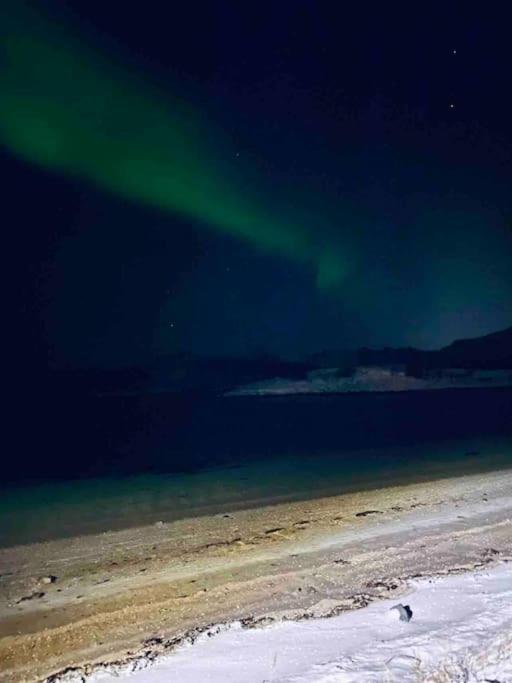 Holiday Home With Sauna In The Arctic Caribbean, Tromsø Exteriér fotografie