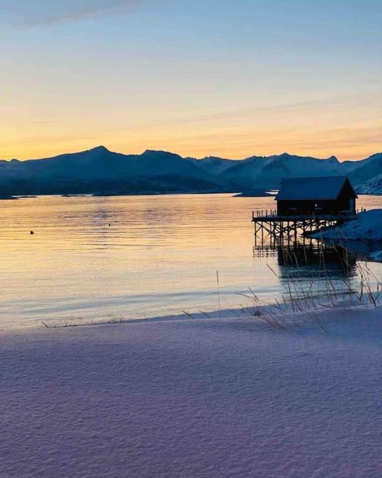 Holiday Home With Sauna In The Arctic Caribbean, Tromsø Exteriér fotografie
